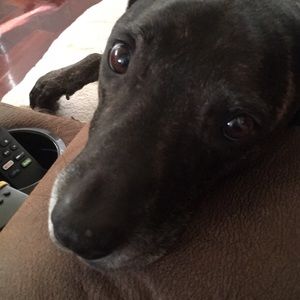 Meet your Posher, Tara